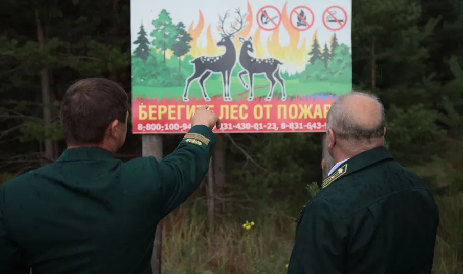 В лесах Нижегородской области с 24 апреля установлен пожароопасный сезон